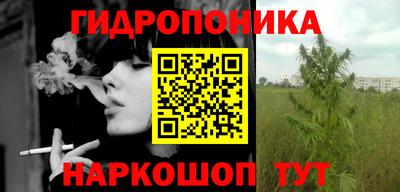 шишки Конаково
