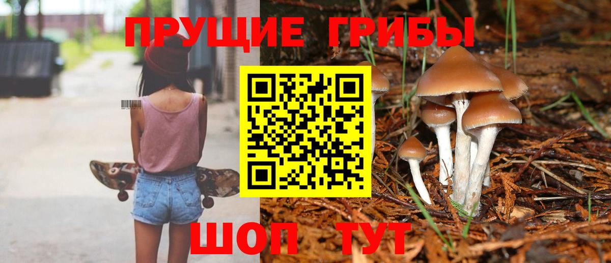 Псилоцибиновые грибы GOLDEN TEACHER Кубинка