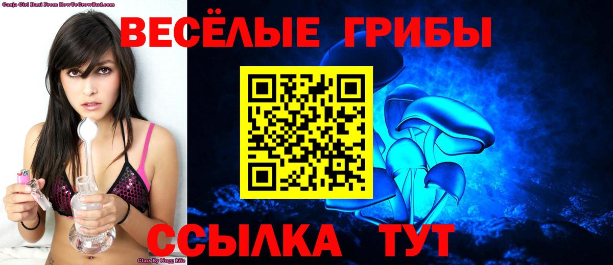 Кубинка  Псилоцибиновые грибы Psilocybine cubensis  Вход с VPN 
